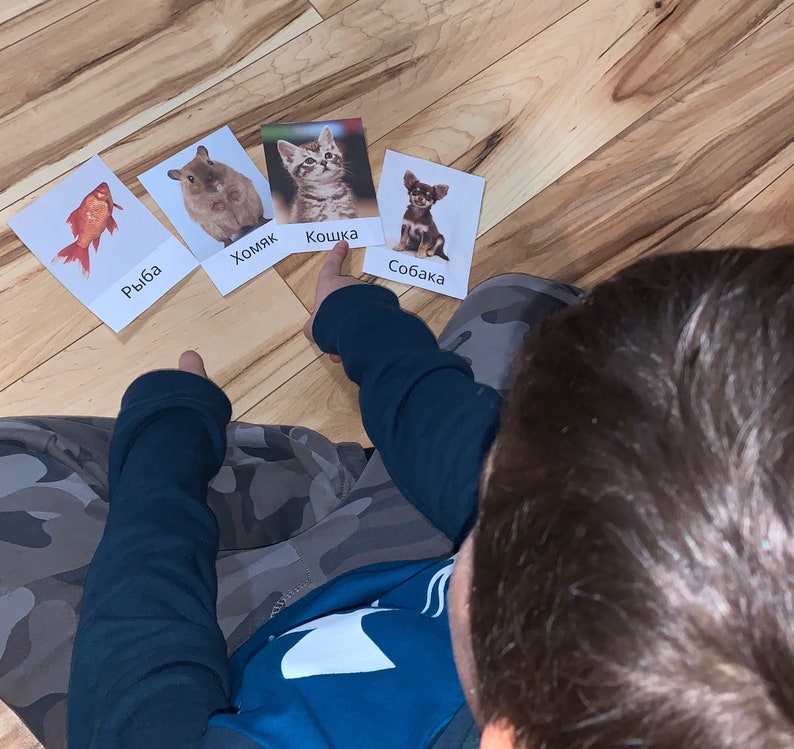 May include: A person is holding four flashcards with animal pictures and Russian words. The cards show a goldfish, hamster, kitten, and puppy. The words on the cards are "рыба", "хомяк", "кошка", and "собака".