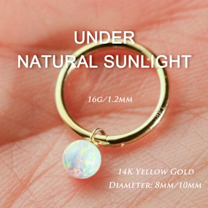 16g Knorpel Hoops 14K Solid Gold Baumeln Septum Ring Conch Piercings Daith Schmuck Klapp Segment Ring Septum Clicker Opal Helix Ohrring