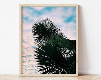 Joshua Trees and Sky Photo Print | Downloadable Photography Wall Art | Printable Teen Art Prints | Digital Download