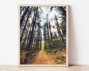 Fall Hike Photo Print | Downloadable Photography Wall Art | Printable Teen Art Prints | Digital Download