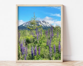 Alaska Mountain, Anchorage Outdoors, Downloadable Print | Photography Wall Art | Printable Teen Art Prints | Digital Download
