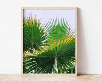 Palms Photo Print | Downloadable Photography Wall Art | Printable Teen Art Prints | Digital Download