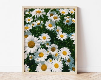 Daisies Print | Downloadable Photography Wall Art | Printable Teen Art Prints | Digital Download