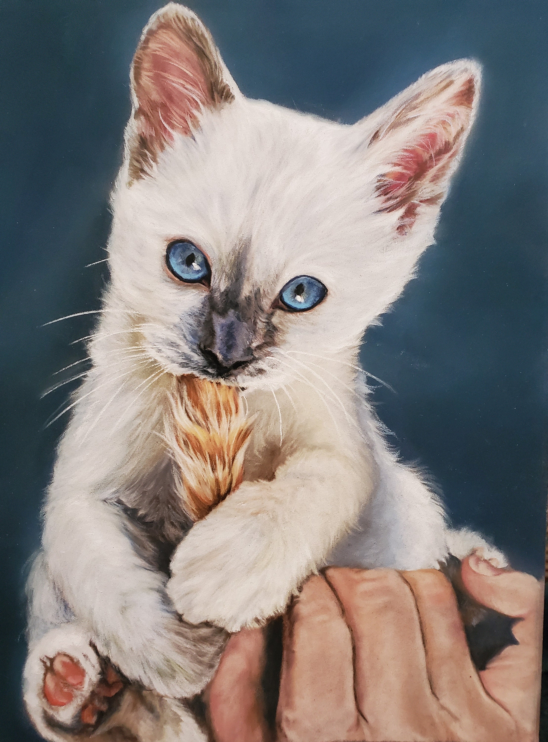 Pastel Pet Portraits Realistic Pet Portraits Custom Pet Etsy