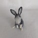 see more listings in the Hares section