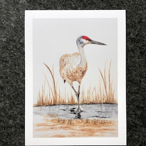 Print-Sandhill Crane- From Original Watercolor Painting