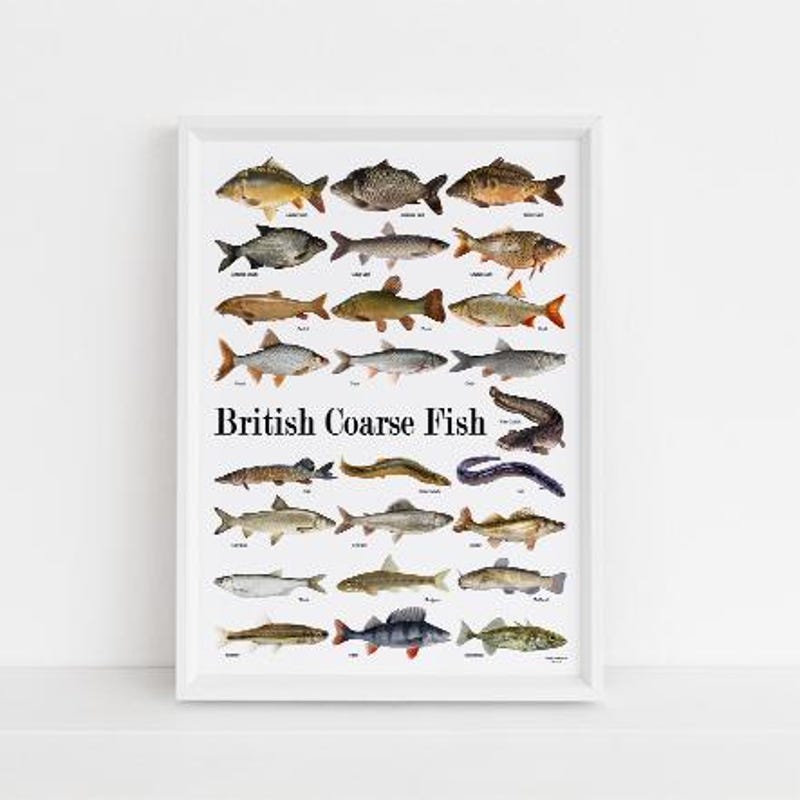 Fish Uk Poster - Etsy UK