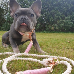 Dog leash, handmade, leash, rope, cordage, cream Pink image 2