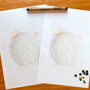 Juego de papelería y bloc de notas con estampado de acuarela, juego de escritura de cartas y bloc de notas para mujeres y niñas, juego de cactus, con y sin forro