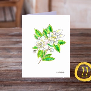 Aquarel Bloemen wenskaarten, All Occasions Card Set, 5x7 Card Pack, Pick your own Card Set, Blank inside Kaarten met enveloppen