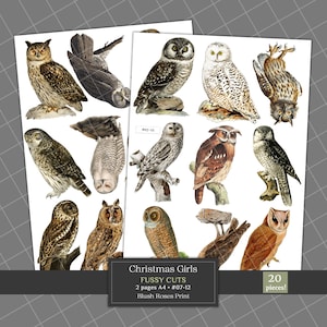 Búhos vintage con recortes elegantes: efímeras de búhos de estilo antiguo imprimibles para scrapbooking y revistas de segunda mano, clipart digital de búhos