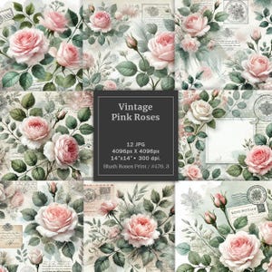 Aquarel vintage roze rozen kortstondig digitaal papier, HOGE KWALITEIT blush rozen ongewenste dagboekpagina's digitaal, plakboek blok Engelse rozen