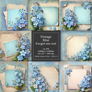 Vergissmeinnicht Blumen Scrapbook Papier, Vintage staubige blaue Blumen Junk Journal Seiten Ephemera Papiere Karten machen