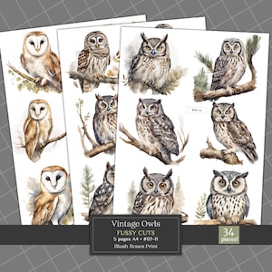Búhos vintage con recortes elegantes: efímeras de búhos de estilo antiguo imprimibles para scrapbooking y revistas de segunda mano, clipart digital de búhos