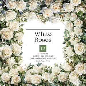 Aquarel witte rozen clipart, bruiloft boeket witte rozen illustraties, HOGE KWALITEIT transparantie PNG, vintage Engelse roos sublimatie beelden