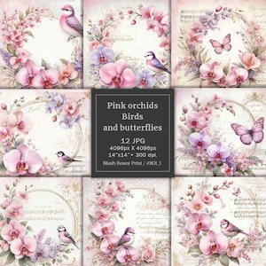 Pastell rosa Orchideen Papier, Papier Packung, Pastell rosa Orchideen Papier, Vintage Vögel, Aquarell, Schmetterlinge