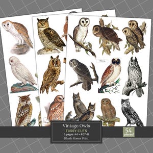 54 Búhos Vintage Recortados con Diseños Originales: Búhos Efímeros de Estilo Antiguo Imprimibles para Scrapbooking y Diarios, Clipart Digital de Búhos