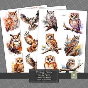 Búhos de acuarela con recortes: clipart digital imprimible, adornos para diarios basura y scrapbooking, descarga digital para diarios basura