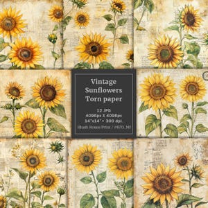 Vintage sunflowers digital paper, Sunflowers Junk journal pages digital, Floral scrapbook paper, Ephemera printable boho