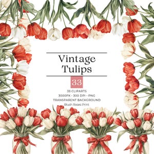 33 Vintage tulips clipart, Red and white tulips in mason jar clip art, HIGH QUALITY Transparency PNG, Spring tulips bouquet