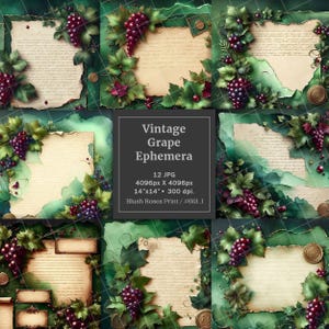 Blocco di carta per scrapbooking con uva rossa e carte strappate ad acquerello digitale, pagine di diario spazzatura con uva e vino della Borgogna, immagini digitali di ALTA QUALITÀ JPG