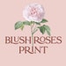 Blush Roses