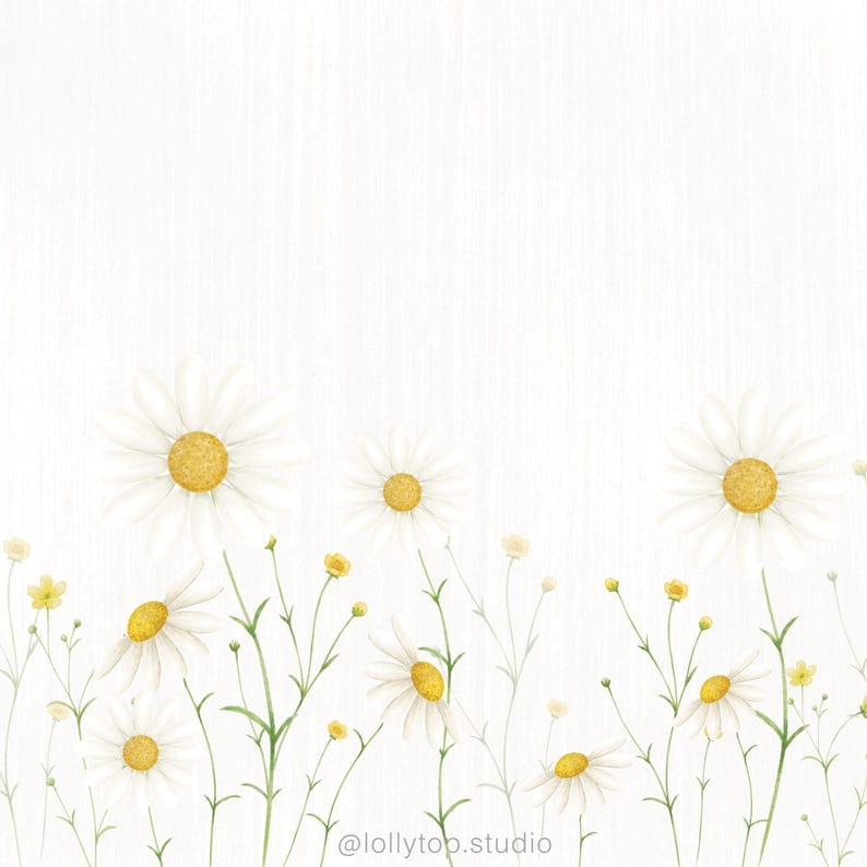 May include: Watercolor illustration of white daisies with yellow centers and green stems against a textured white background. The flowers are in various stages of bloom, creating a natural, floral design. The artist's name is at the bottom.