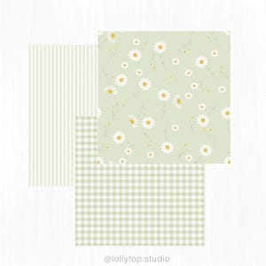 May include: A collection of three patterned papers in a light green color scheme. One paper features vertical stripes, another has a gingham pattern, and the third showcases a daisy floral design. The image includes the text "@lollytop.studio".