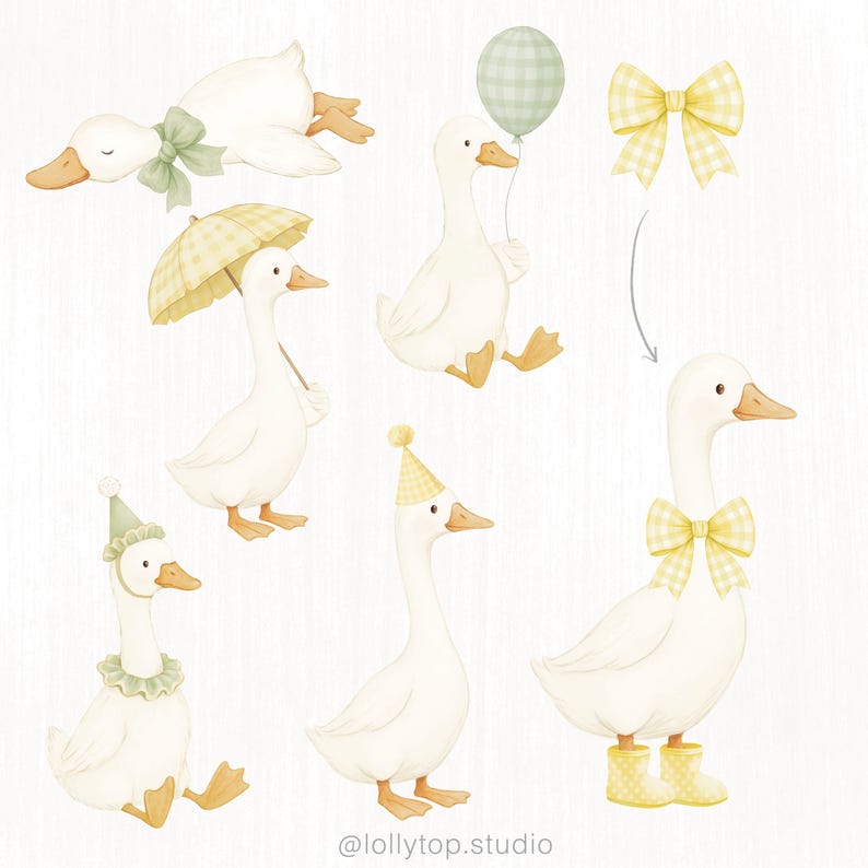 Silly goose and daisy - clipart and digital papers image 2