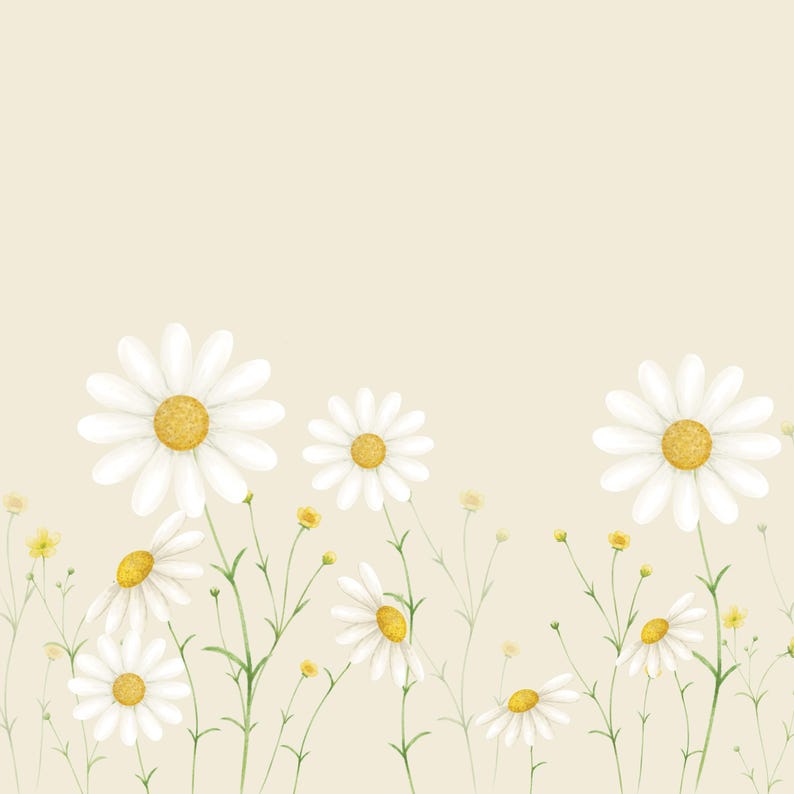 May include: Watercolor illustration of daisies with white petals and yellow centers. The daisies are set against a soft beige background, with green stems and small yellow buds. A floral design.