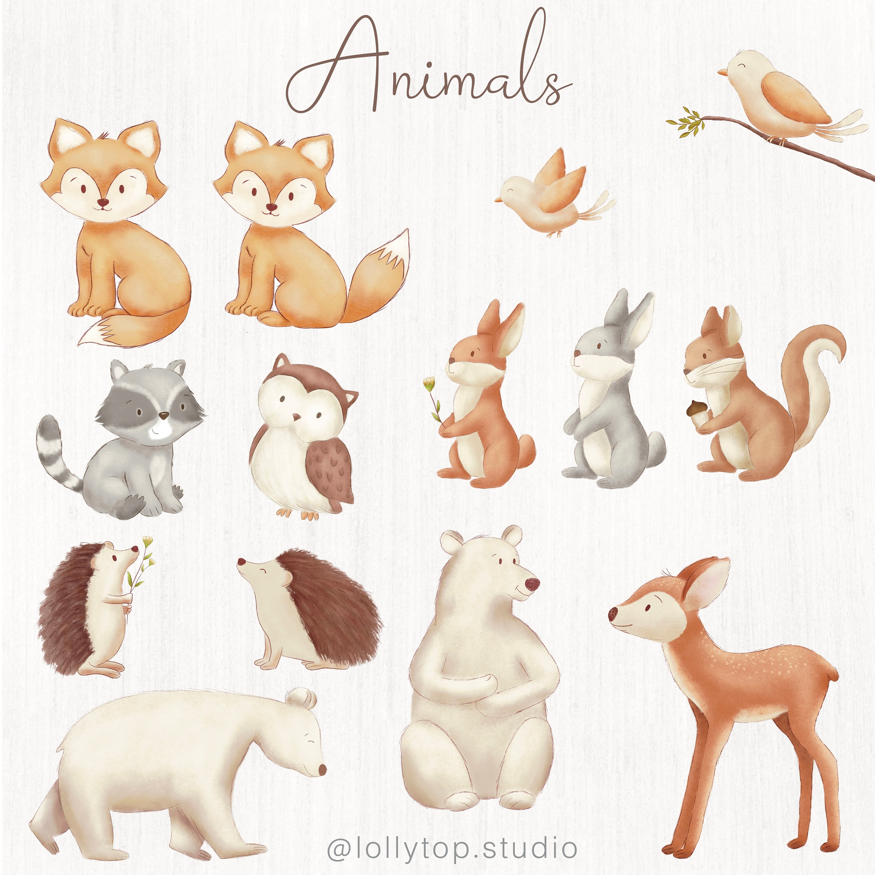 Lovely Cute Woodland Clipart's - Etsy