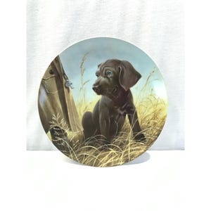 Knowles 1989 collector plate, Weimaraner puppy, 8.5&quot; Field Puppies collection, Lynn Kaatz, UKC