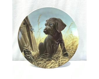 Knowles 1989 collector plate, Weimaraner puppy, 8.5" Field Puppies collection, Lynn Kaatz, UKC