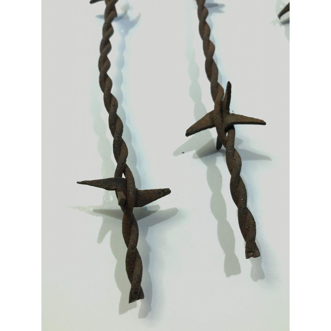 vintage barbed wire accessory 有刺鉄線 il_1080xN.6600967161_lz3n.jpg