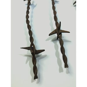 Könnte beinhalten: Nahaufnahme von drei rostigen Stacheldrahtsträngen mit scharfen Spitzen. Der Draht ist verdreht und hat eine raue Textur.