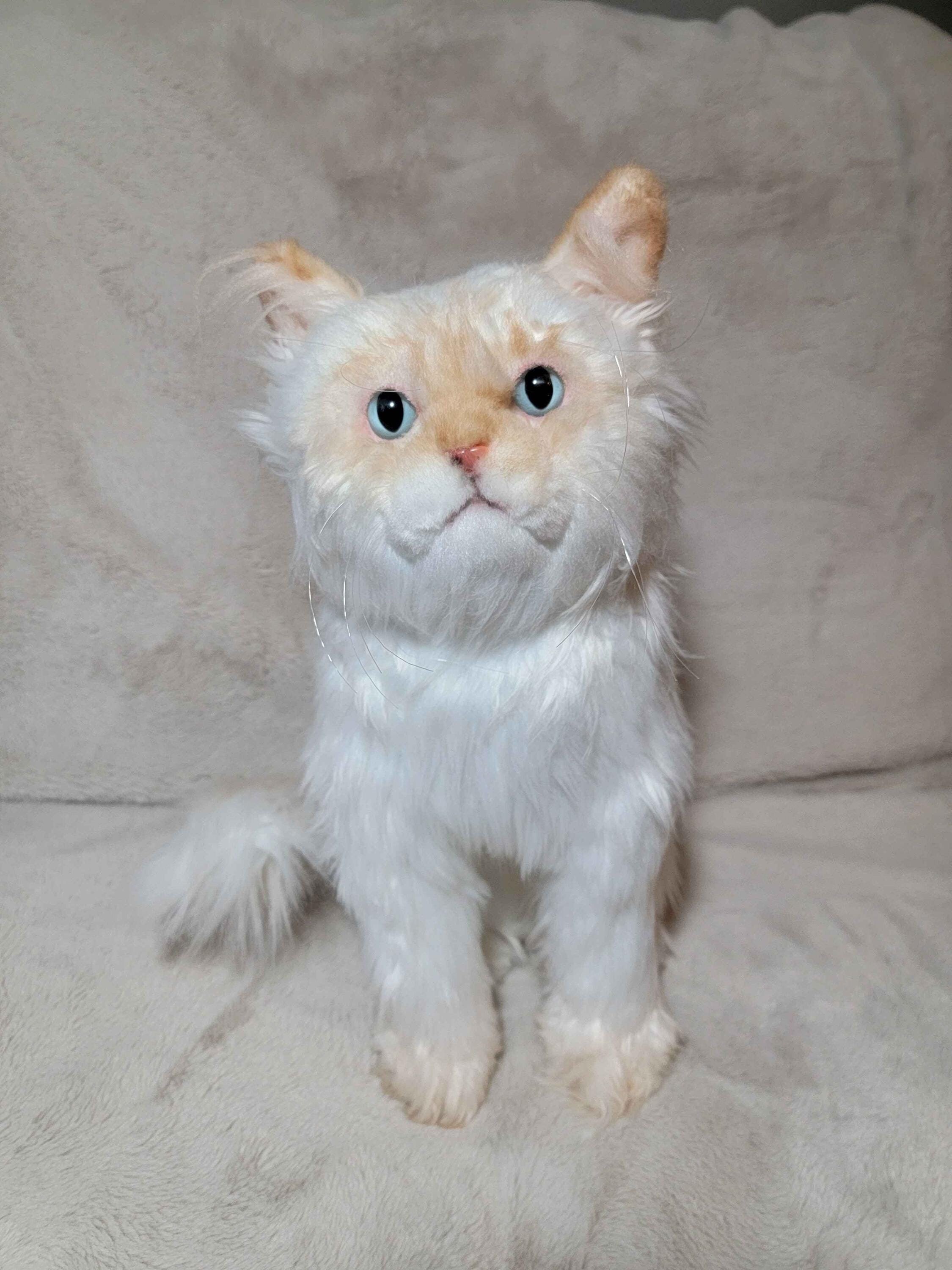 Cuddle clone cat discount