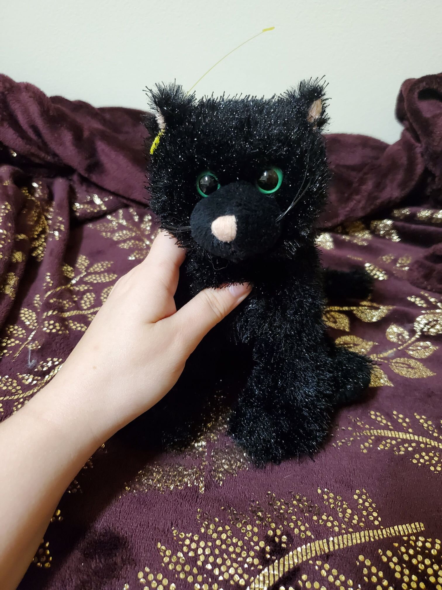 webkinz black cat