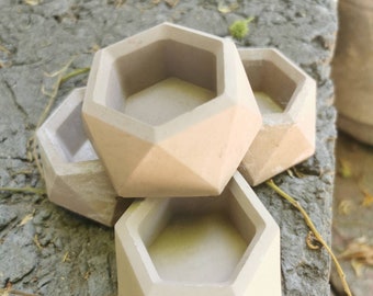 Concrete succulent planters