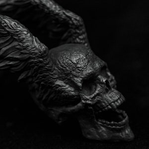 May include: A black skull with wings, the skull has a detailed texture and an open mouth with teeth. The skull is set against a black background.