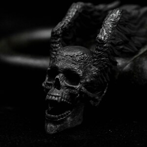 May include: A black skull with wings, the skull is detailed with a textured surface and an open mouth.