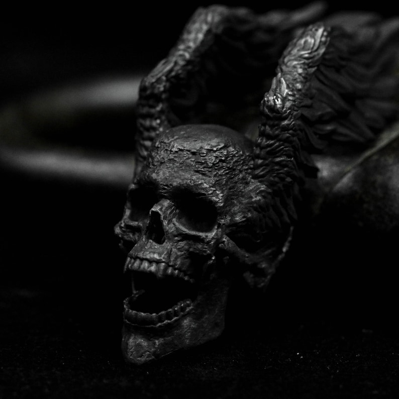 May include: A black skull with wings, the skull is detailed with a textured surface and an open mouth.