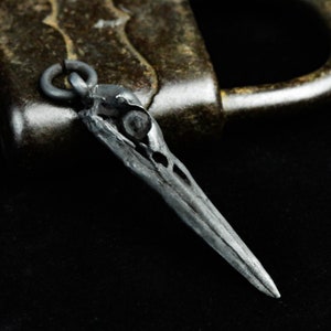 May include: A silver pendant shaped like a bird skull with a loop for a chain.