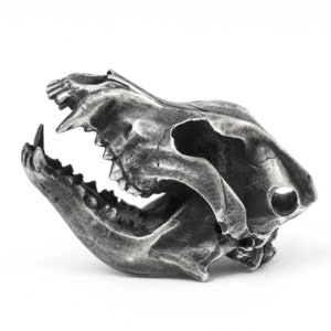 May include: A detailed silver-coloured metal sculpture of an animal skull. The skull is open-mouthed and has visible teeth.