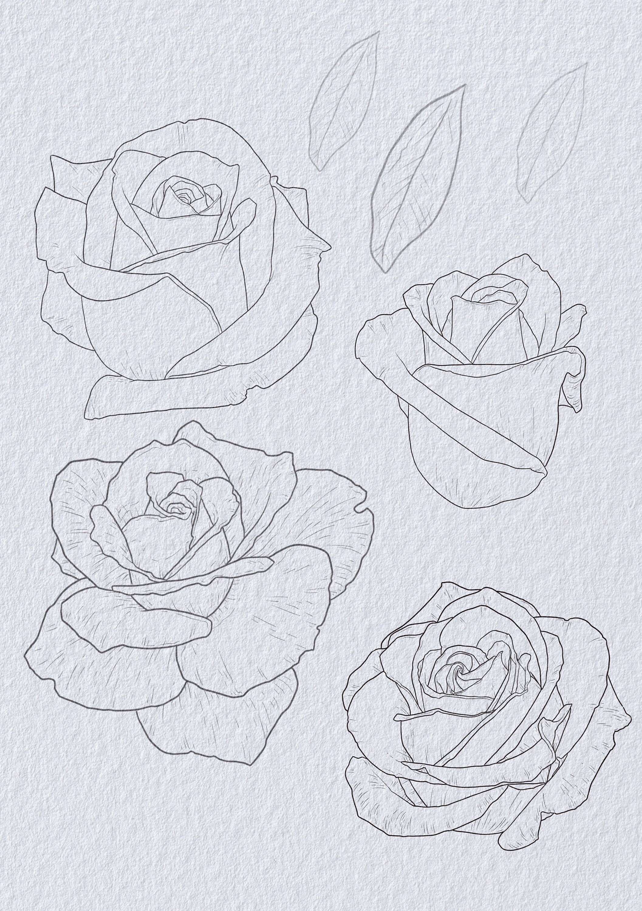 Procreate Brush Set The Rose Stamp Set | Etsy