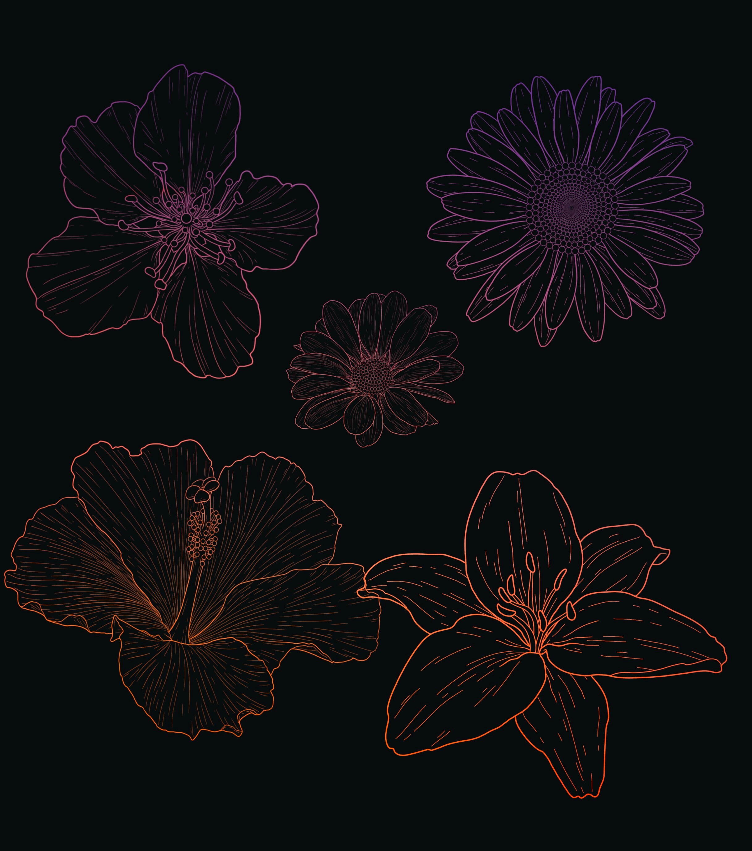 Procreate Brush Set-flower Stamp Set | Etsy
