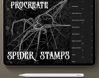 Spider and web Procreate stamps