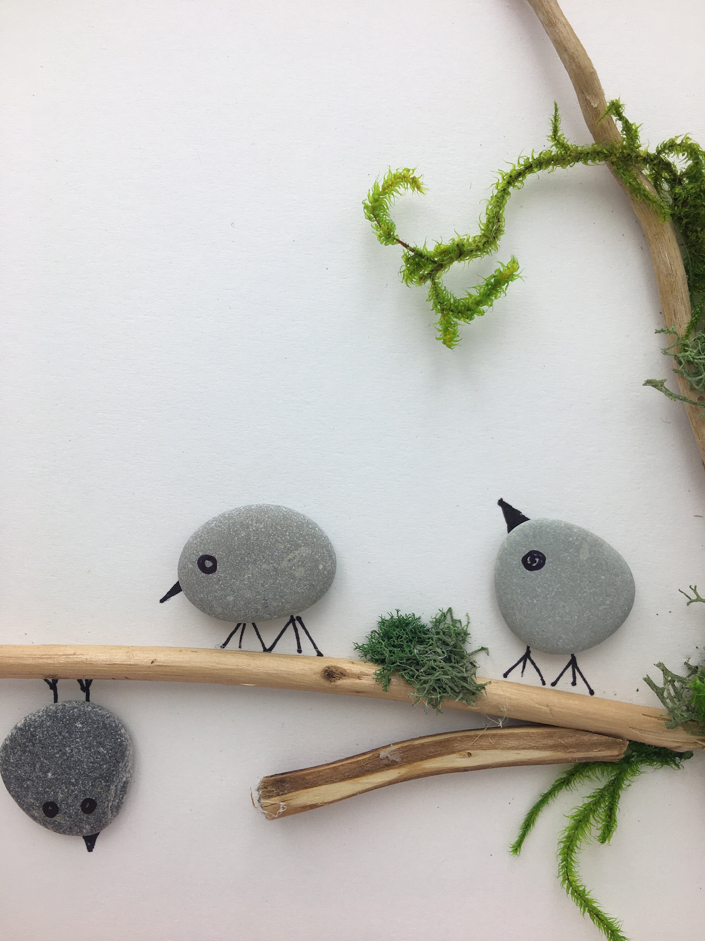 Pebble Art Birds, Five Birds, Birds Pebble Art, Open Shadow Box Frame