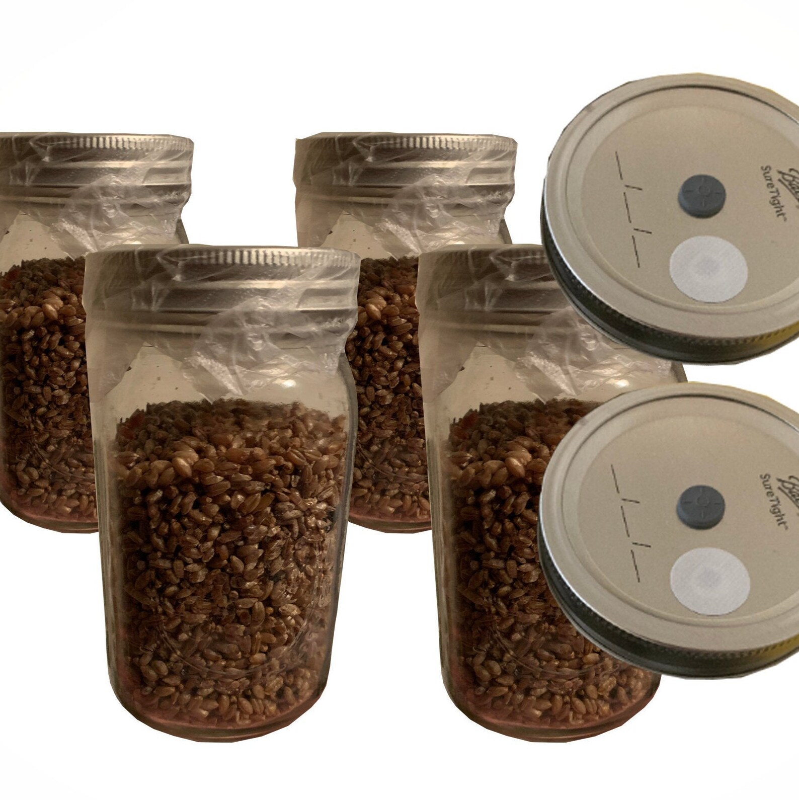 4 or 12 32oz Sterilized Grain Spawn Jars Widemouth w/ Etsy
