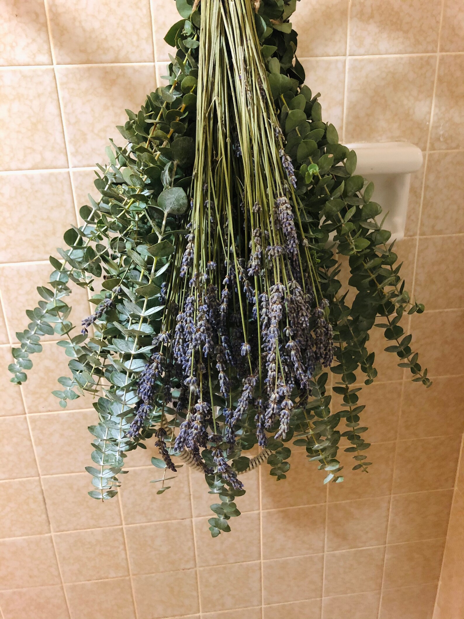 Lavender & Eucalyptus Shower Bundle Aromatherapy Spa Shower Etsy