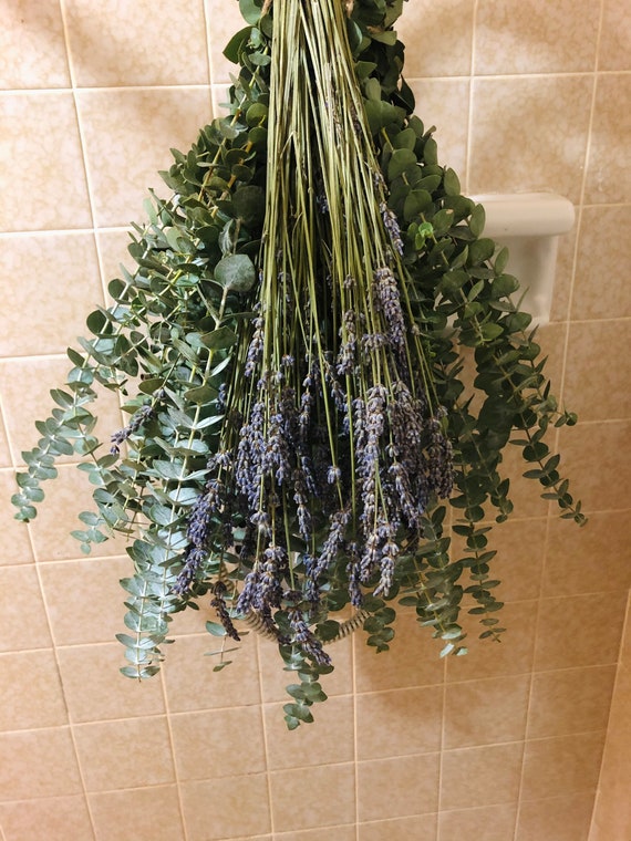 Fresh Eucalytpus And Lavender Bouquet For Shower | Dried And Aromatic Lavender | Fresh And Fragrant Eucalyptus | 100% Natural | Self Care Shower Hanging Plant For Decor And Bath Picked